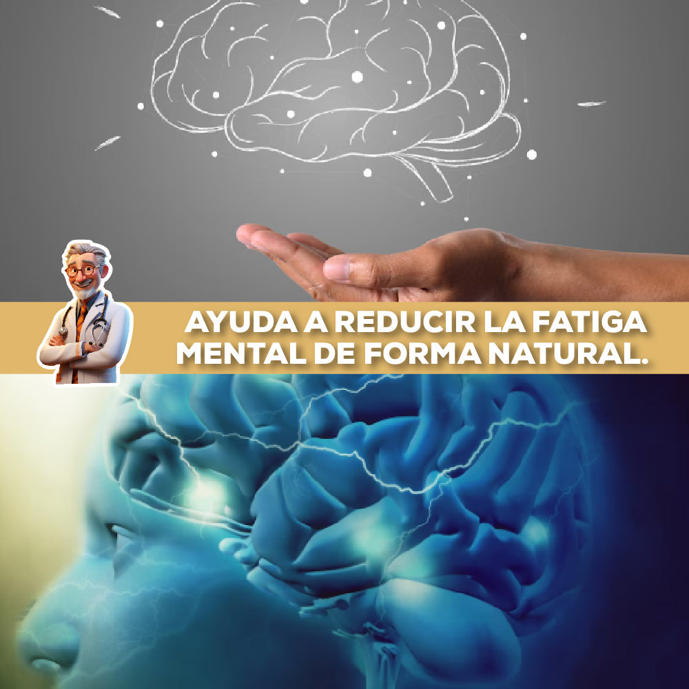 MELENA DE LEÓN 240 CÁPSULAS